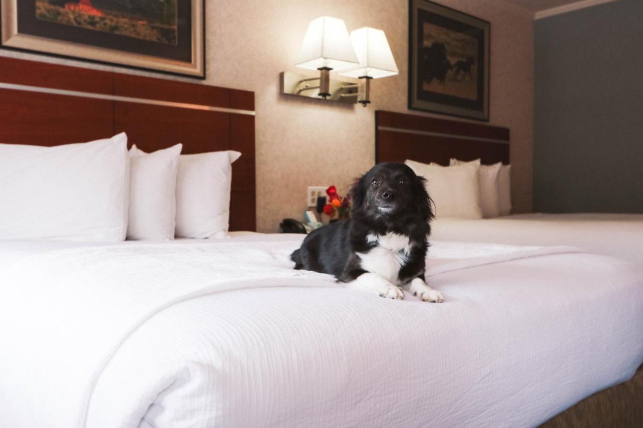 Brandin' Iron Inn West Yellowstone Εξωτερικό φωτογραφία