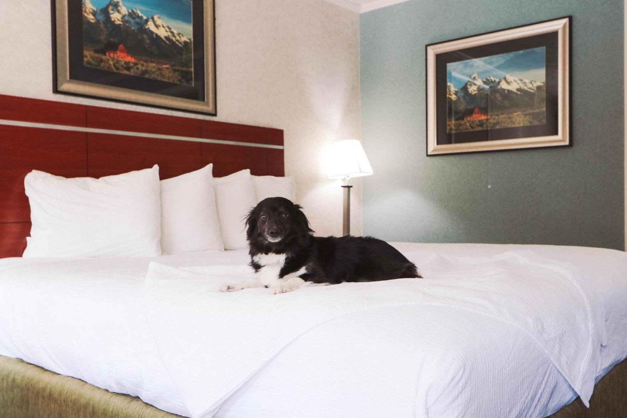 Brandin' Iron Inn West Yellowstone Εξωτερικό φωτογραφία